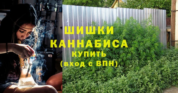 spice Новозыбков