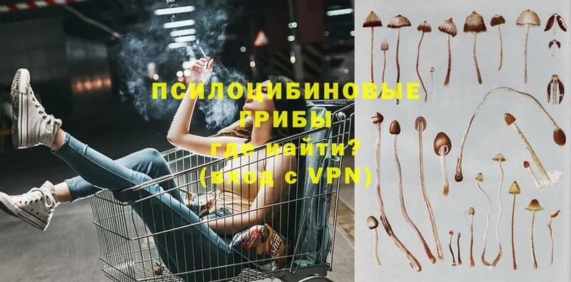 кракен tor  Киренск  Псилоцибиновые грибы Magic Shrooms 